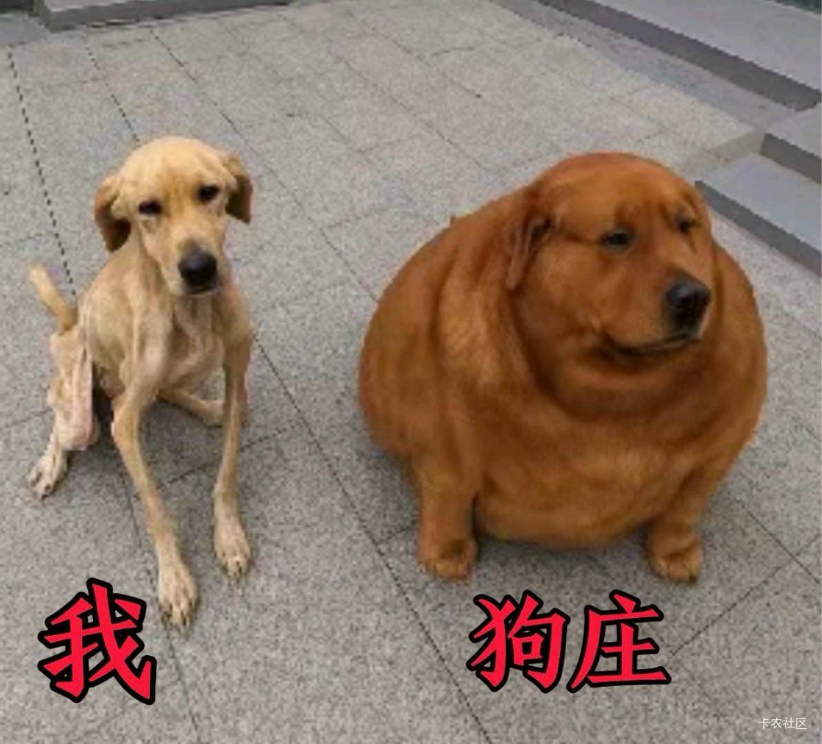 老哥们谁有价高的虚拟做单群，坚持不住了挂壁了要

85 / 作者:笼头 / 