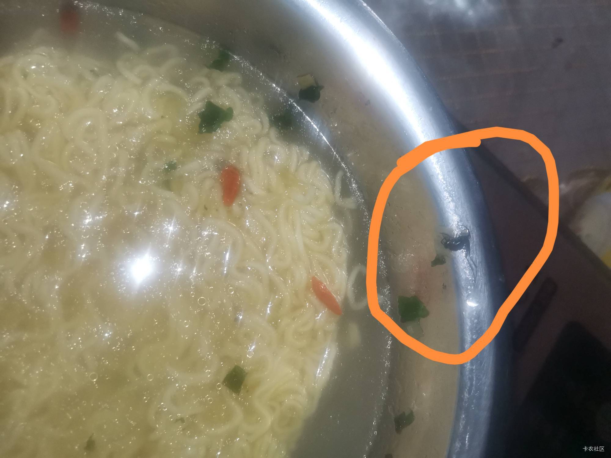 1000块大毛来了。最近在平江白象面饼吃出虫子。最关键是我没有保留好证据。向小程序1221 / 作者:秋月孝三 / 