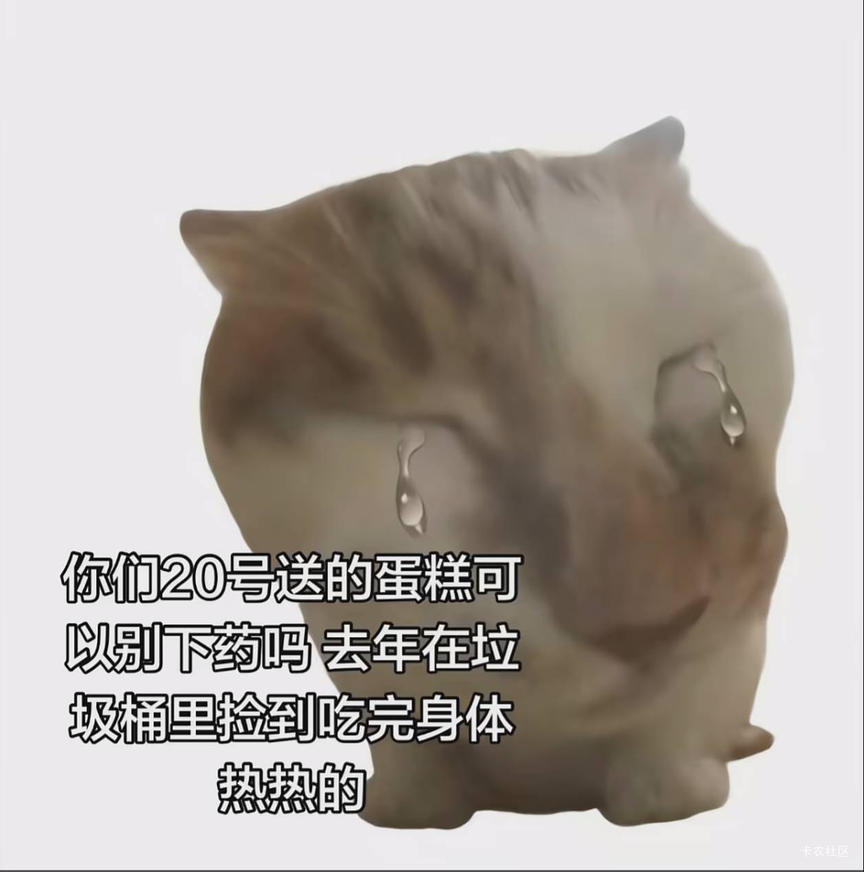 马上又520了，老哥们有什么打算

85 / 作者:泰若星初级蚕豆 / 
