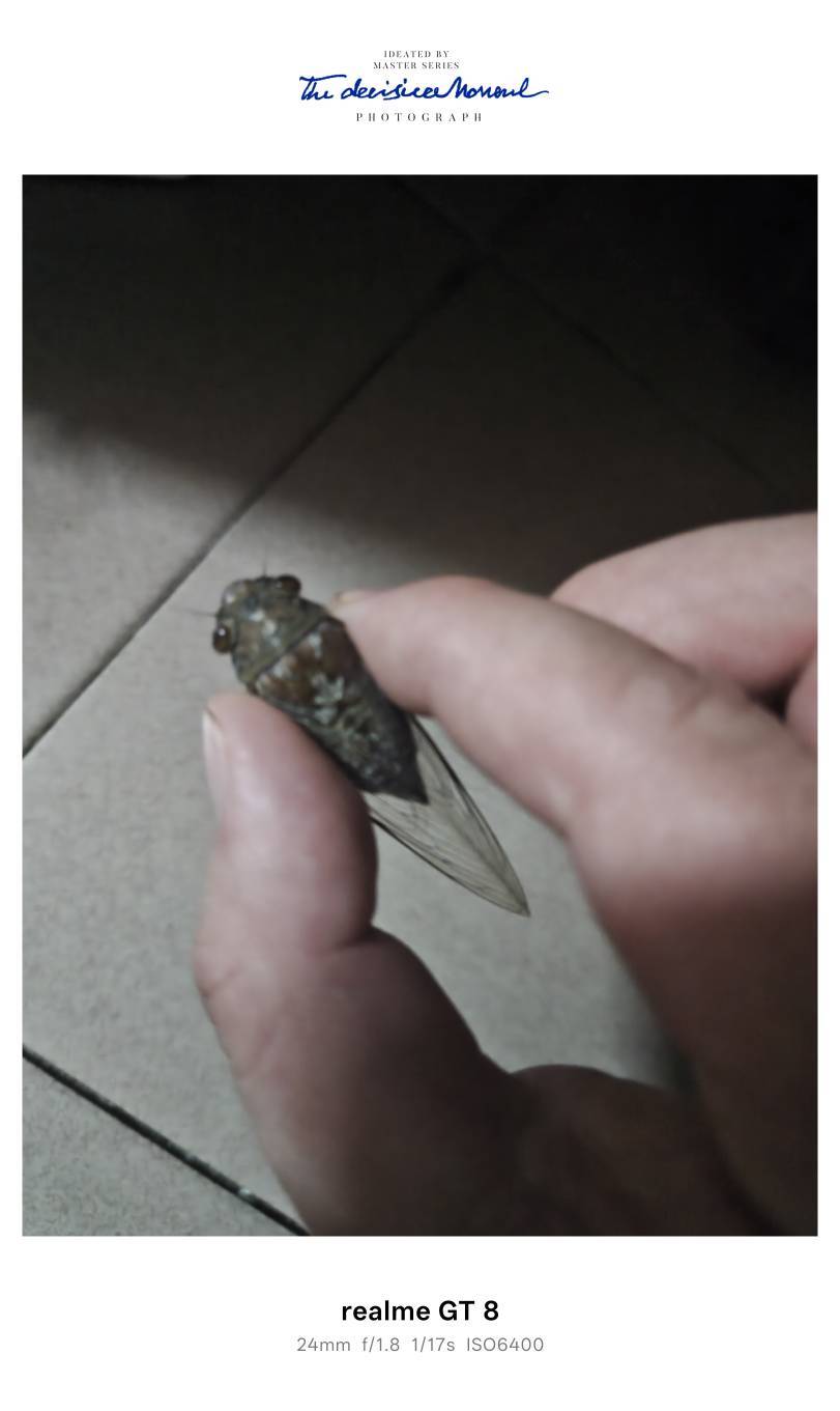 活捉一只，有没有广东老哥想吃刺身的

76 / 作者:Lanceshu / 
