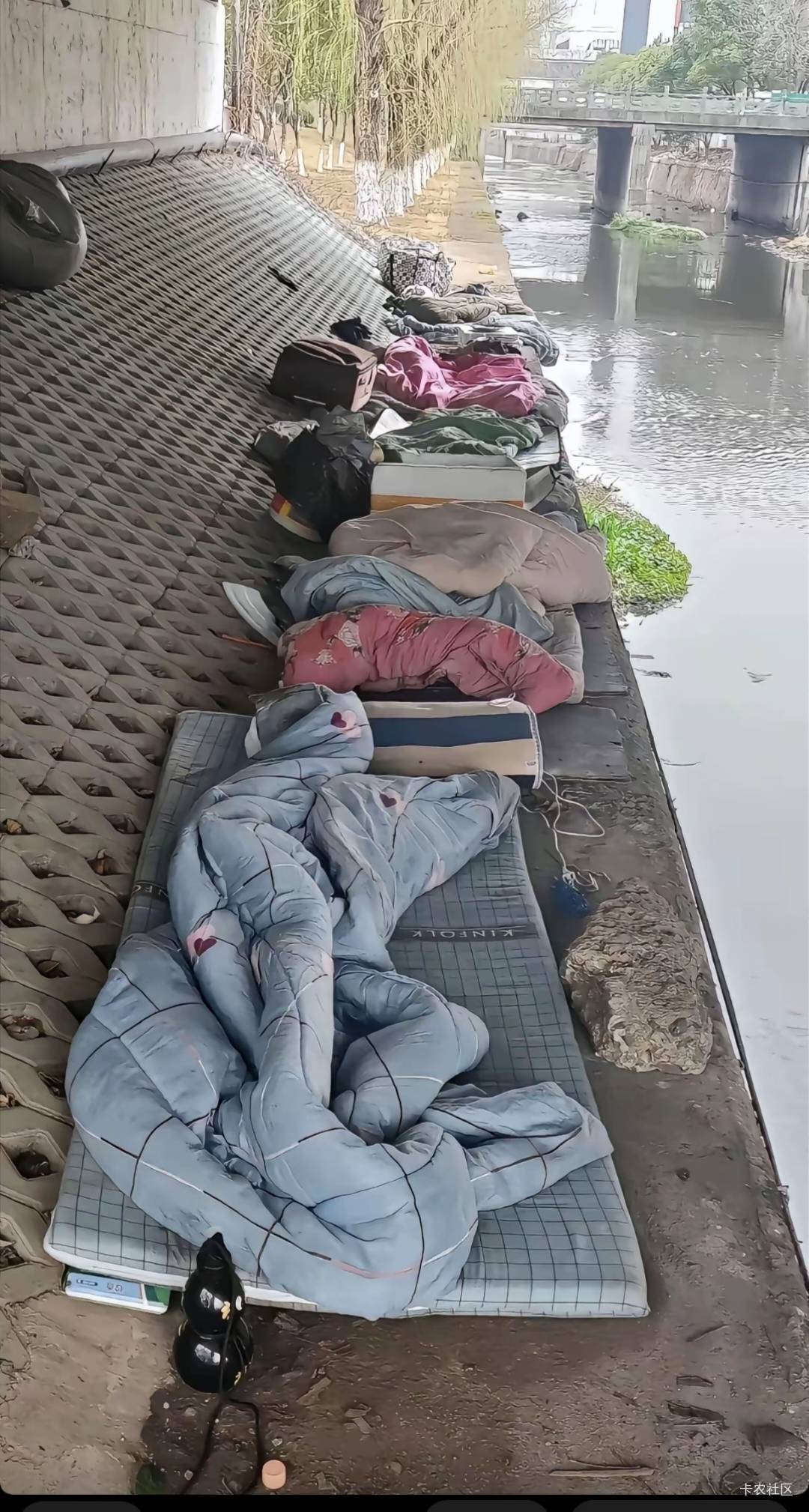 刷一晚上帖子 各位老哥都是人才

24 / 作者:善财神 / 