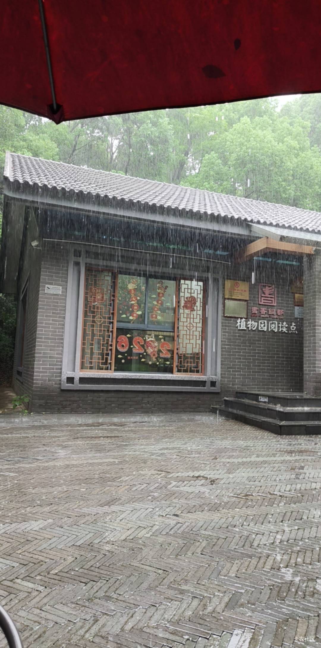 好大的雨

80 / 作者:热了上上课上课 / 