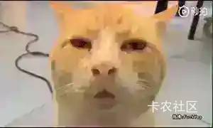 今天没有饿晕了的老哥吗

46 / 作者:玛卡巴卡哟 / 