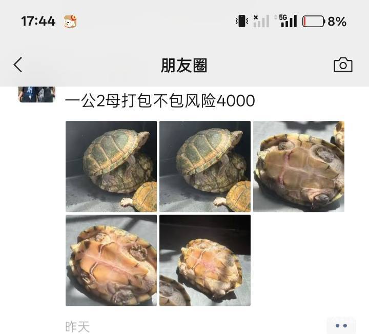 王八卖这么回事吗？

84 / 作者:你等等我好不好 / 