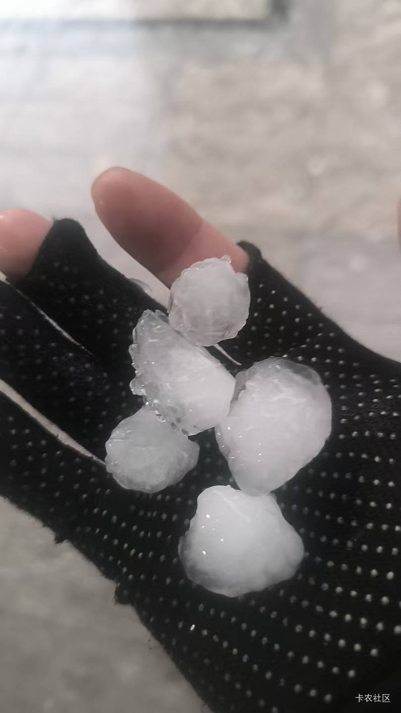济南的老哥还好吗？今天下冰雹了

42 / 作者:老哥我复活了 / 