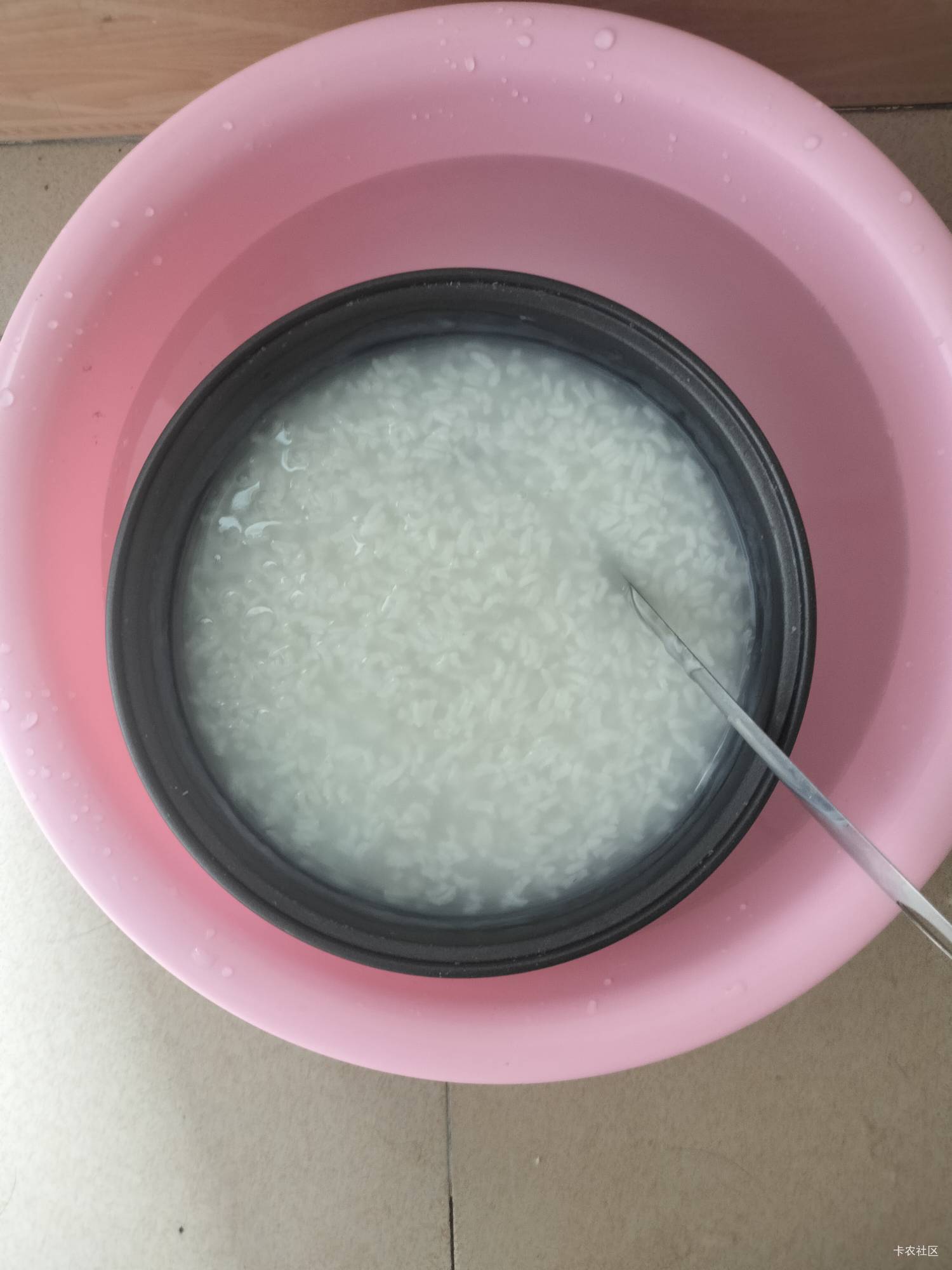 猪脚饭都不换，这么热的天，你们吃得下饭？

0 / 作者:骄傲的七夜 / 