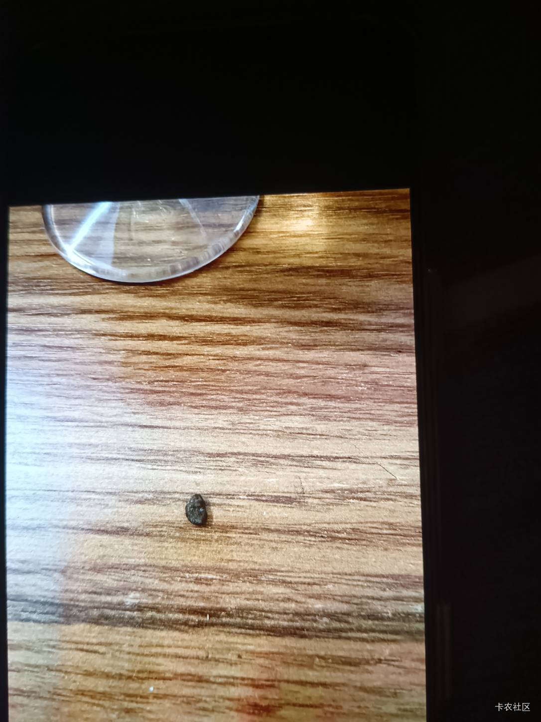 老哥们，放心吃保险跟商家赔付不是一起的哈，老哥们记住了，
昨天吃烧烤，吃到石头子26 / 作者:时髦的包子 / 