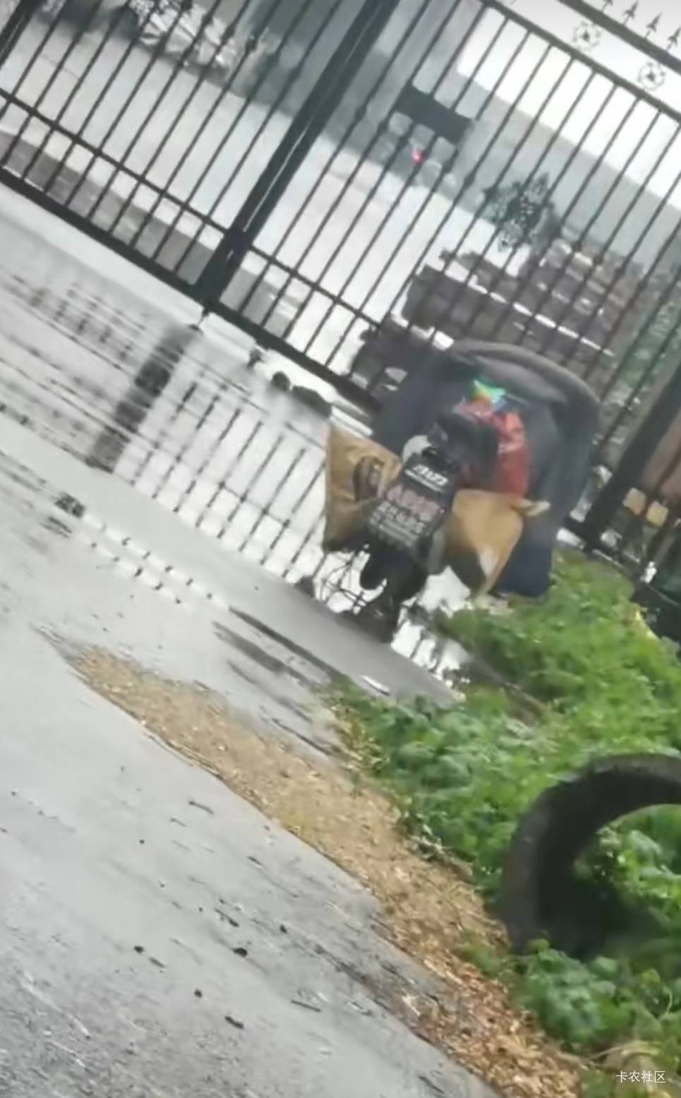 真出大事了     接昨天帖子    电动车移到旁边了   刚才


24 / 作者:你是土狗 / 