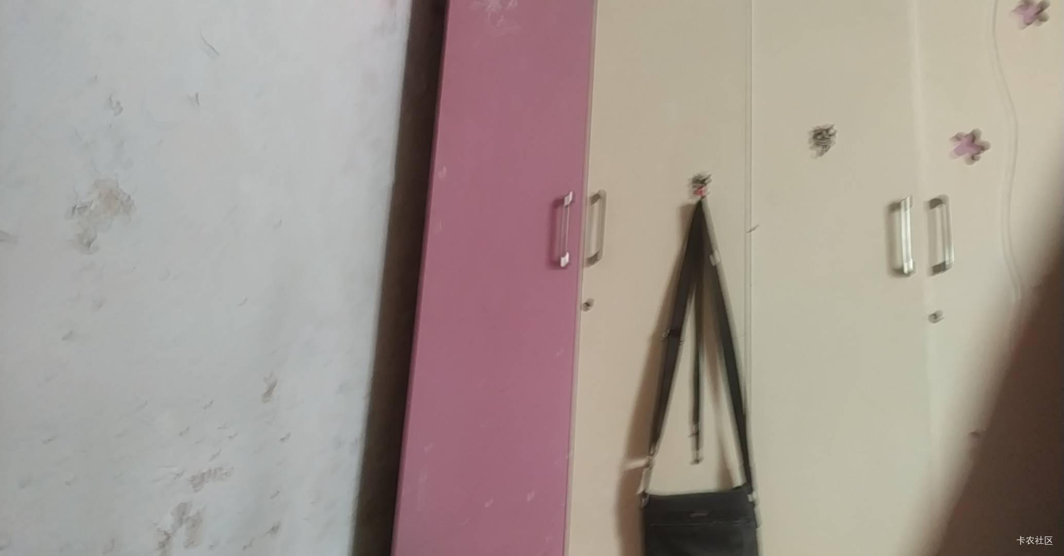 送将怎么玩？刚睡醒，首发老哥帖子搜不出来，名下两个法人执照

60 / 作者:马氏五连鞭 / 