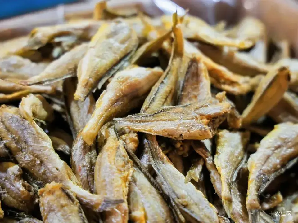 麻粩  巴浪鱼干  醋肉  咸饭  佛跳墙





54 / 作者:鱼巷 / 