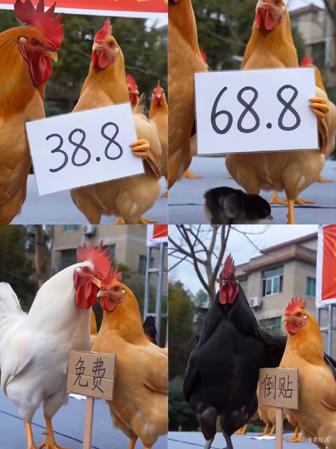 安卓的小富剧场不要搞，昨天提现的排队不到账连一毛的都不到账，今天找客服反手被拉黑99 / 作者:塔尼亚75 / 
