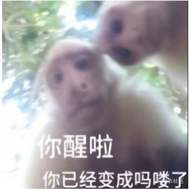 重返邀请新号2000的  截止1点18分还有，纯黑奴毛，搞了两T，基本上3小时一T，1小时10100 / 作者:秋隔一日 / 