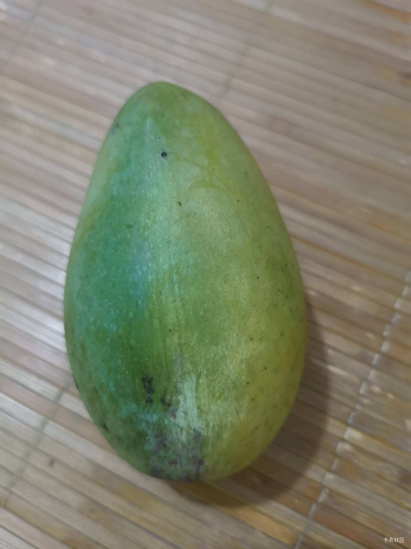 台风过后，地上好多芒果。饿晕了地上捡了个当饭吃

59 / 作者:无夹急 / 