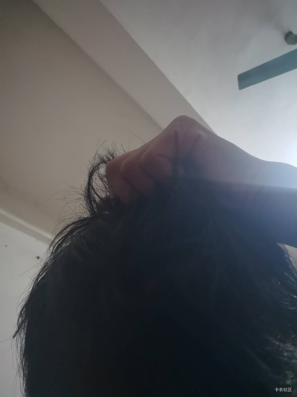 老哥们头发天天这么掉了十多年了还没秃 


48 / 作者:梦想当村长 / 