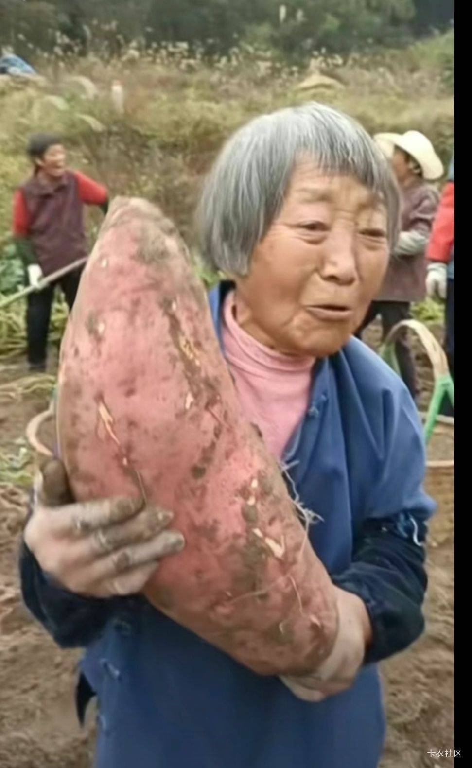 你卤味的 点个奶茶等一个半小时

15 / 作者:龙牙反甲狂徒 / 