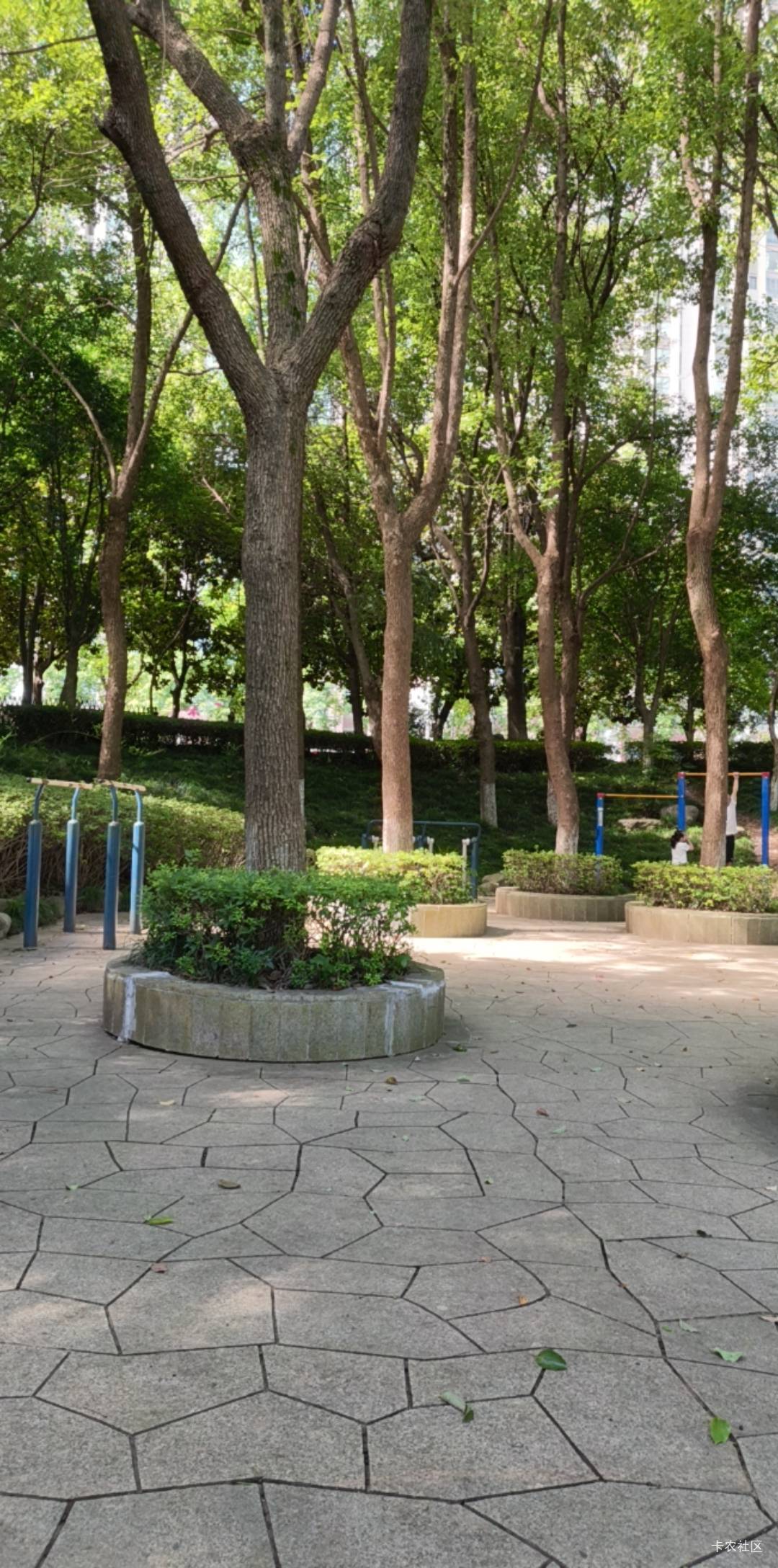 老哥们，公园挂壁，环境还不错


84 / 作者:热了上上课上课 / 