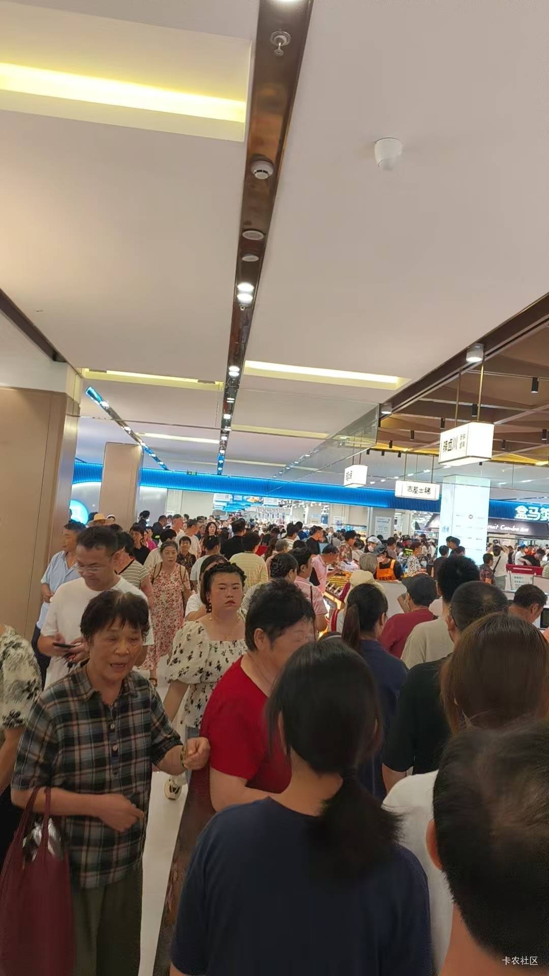 我们这里盒马开业好多人啊！里面生猛海鲜现做现卖现吃，价格也不便宜

53 / 作者:热了上上课上课 / 