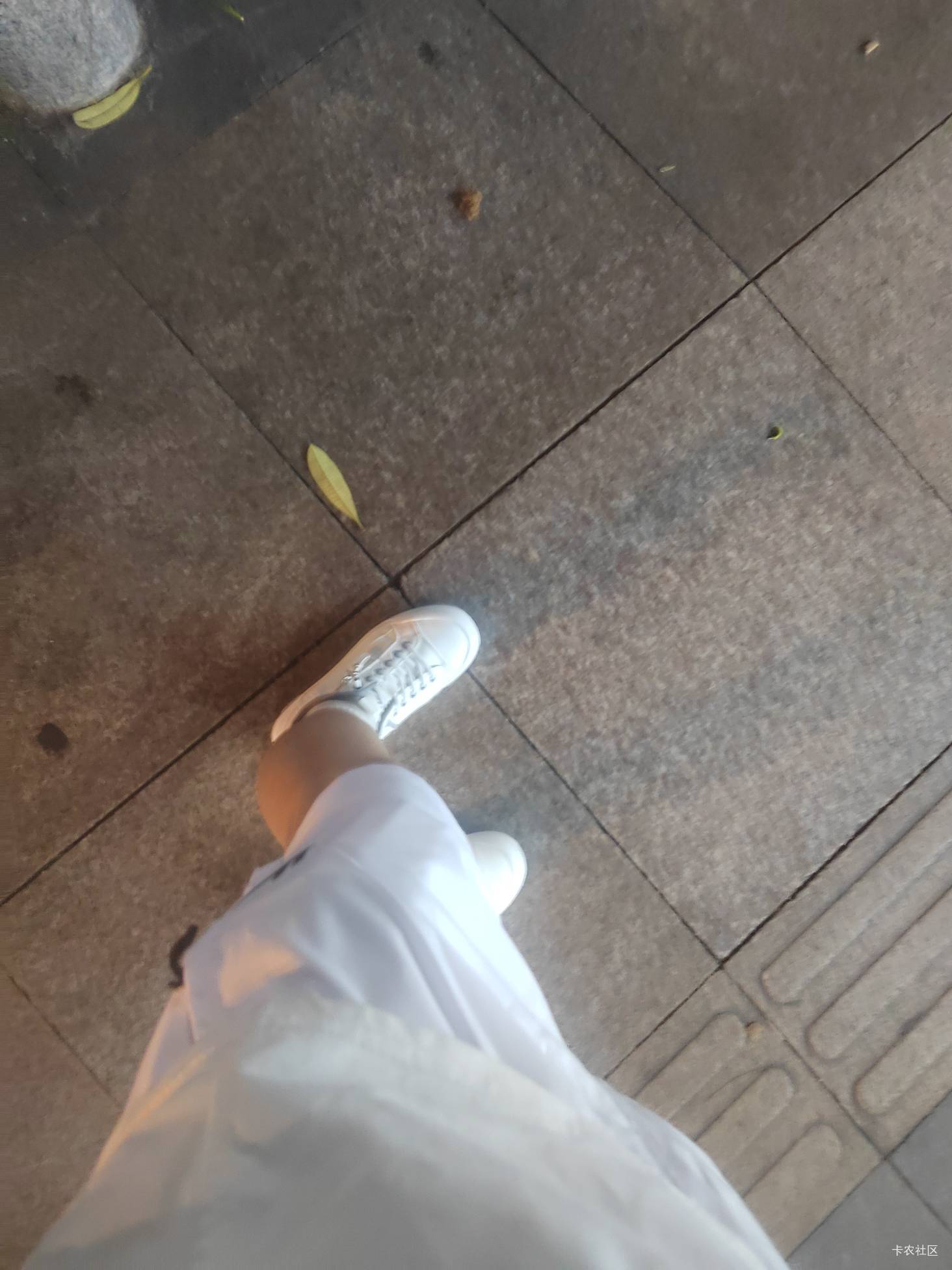 唯品会成本80的装备

95 / 作者:戒酒的李白丶 / 