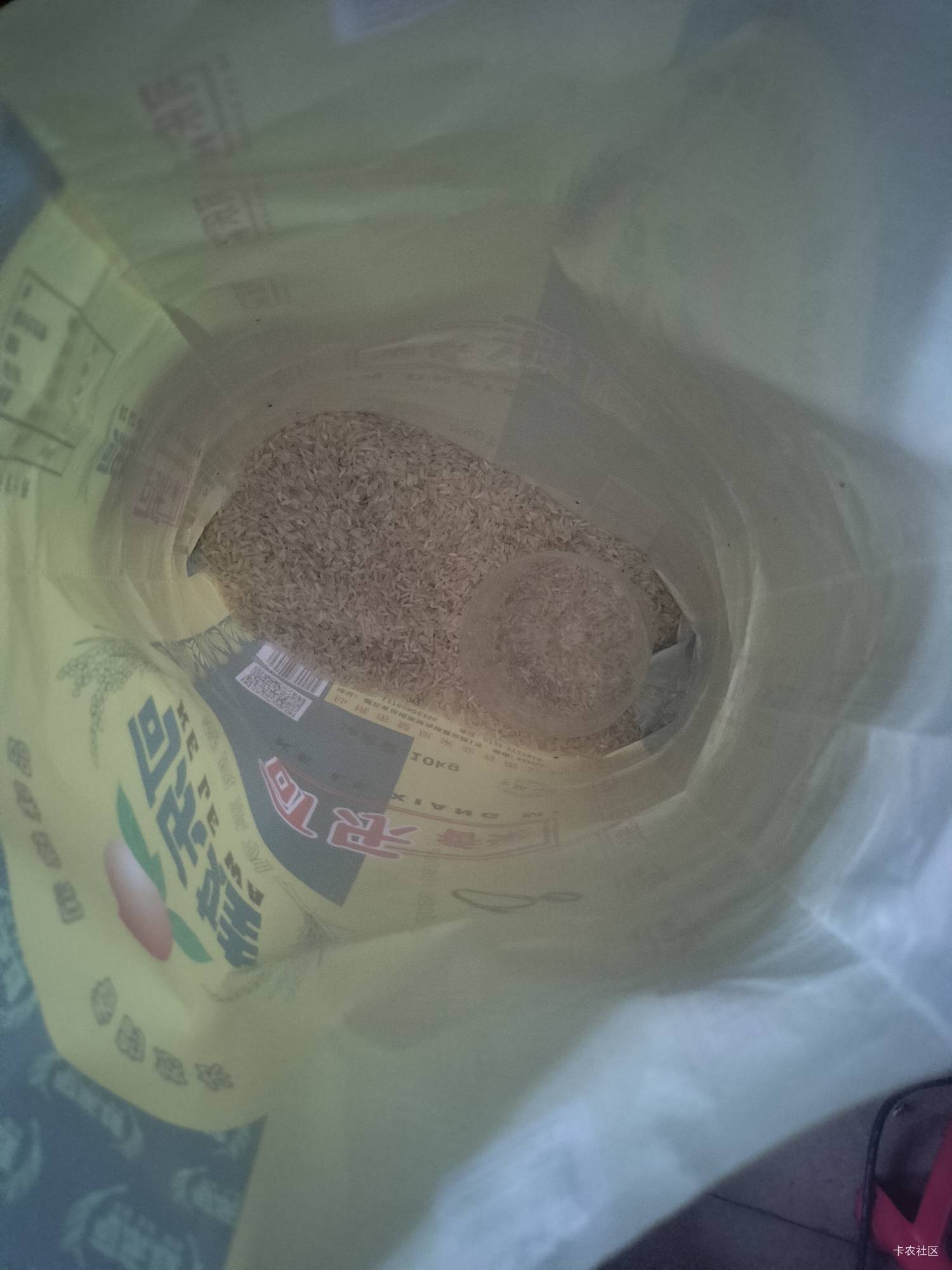 老哥们 没米下锅

100 / 作者:骄傲的七夜 / 