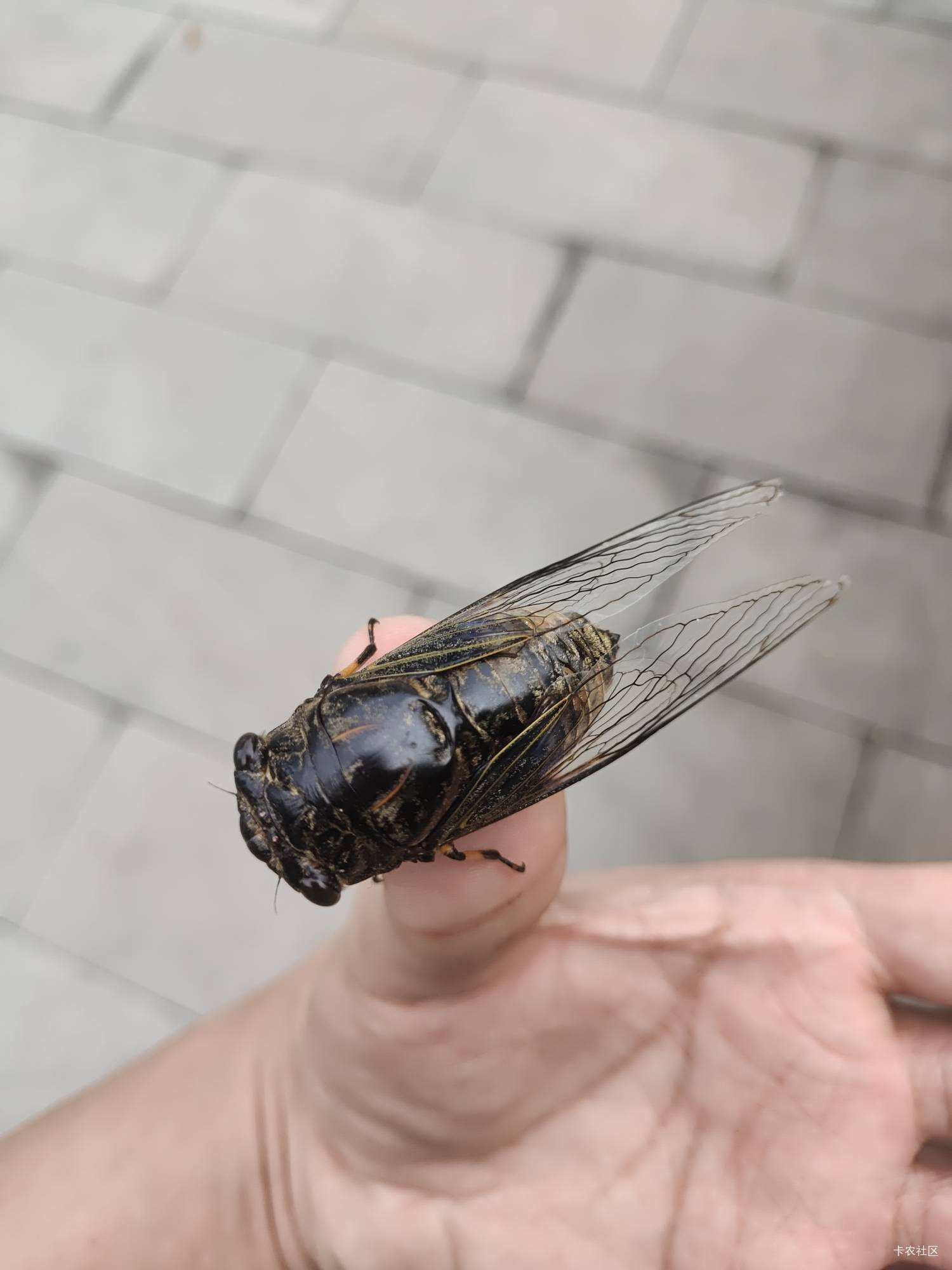 挂壁仔的未来在哪里？别人都能挣到钱，为什么我不行？一定要有自己的房子啊诸位，不管28 / 作者:势要领遍立减金 / 