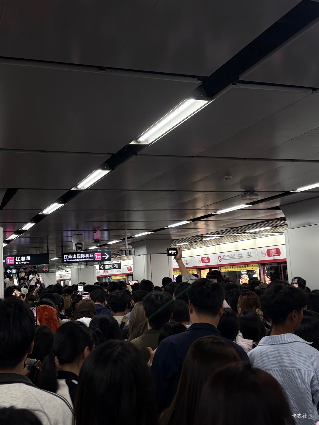龙飞翔桥西湖好多人啊，波波们不出来过万圣节吗

25 / 作者:卡农从不缺人才 / 